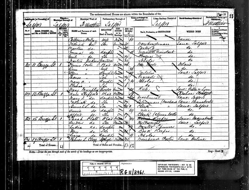 Foster (Ann nee Rippington) 1881 Census